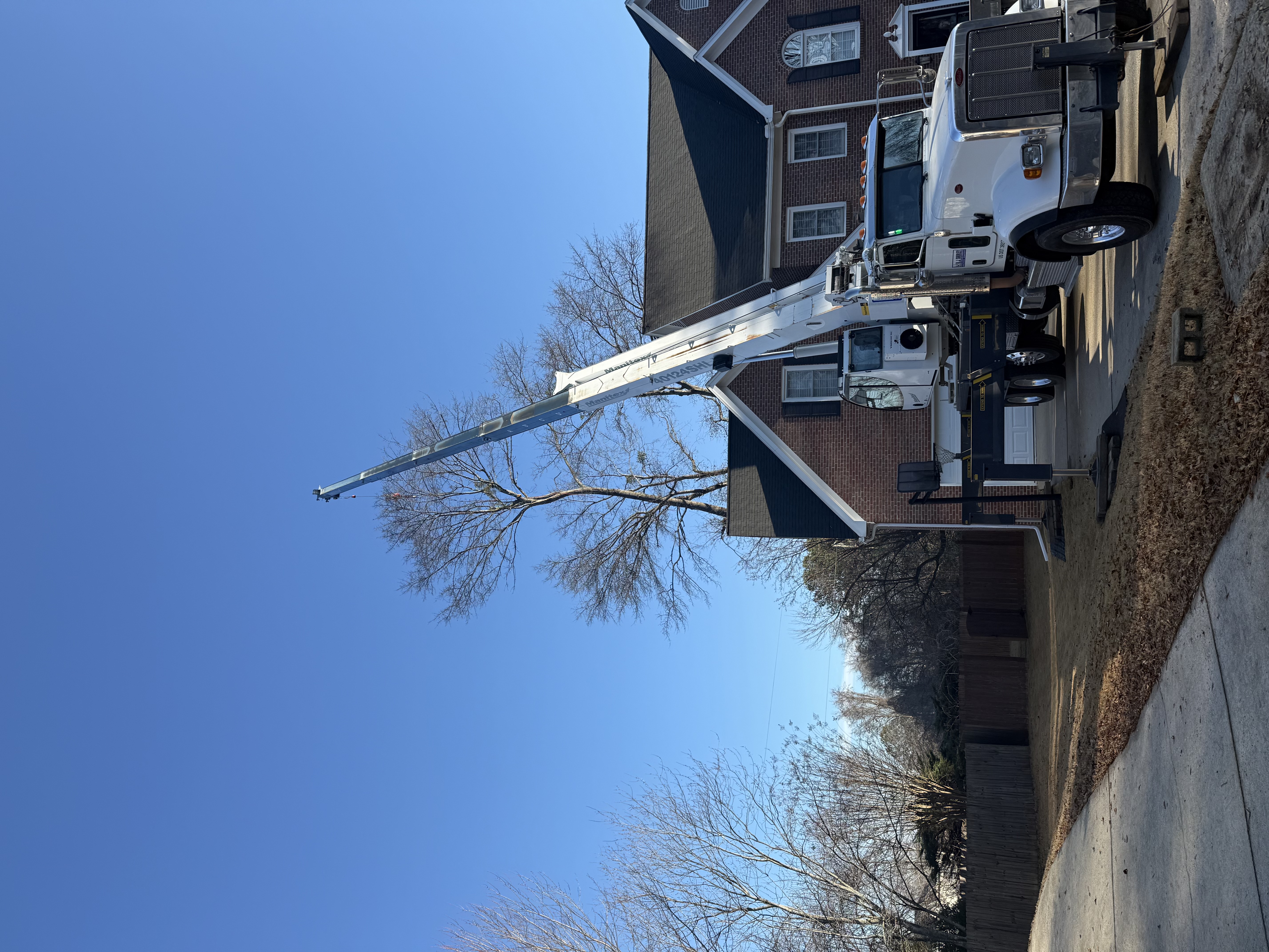 Tree Services Greenville SC | Tree Removal, Trimming & More