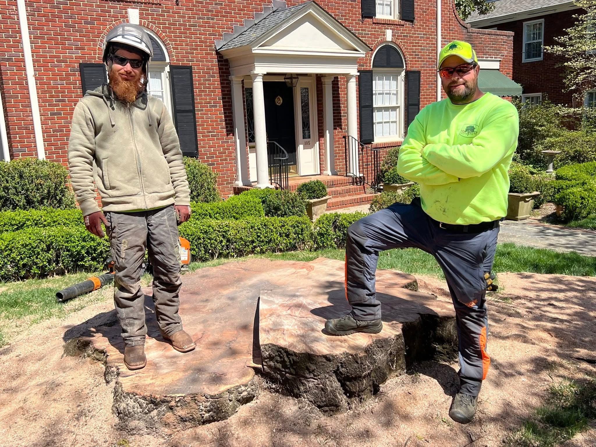 Tree removal and tree care in Greenville and Upstate South Carolina