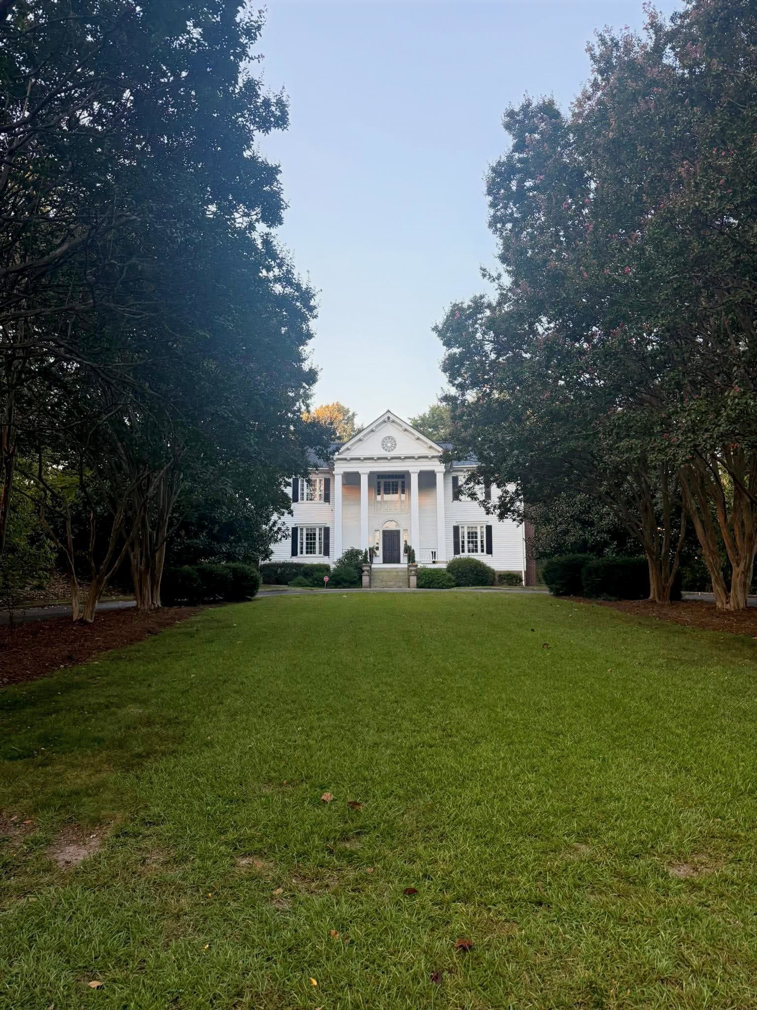 Tree care project completion