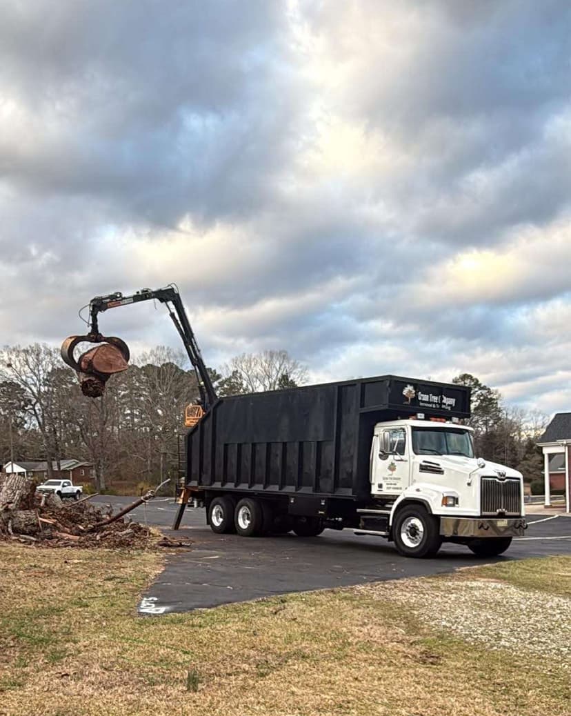 Tree Service Greenville SC | Carson Tree Company