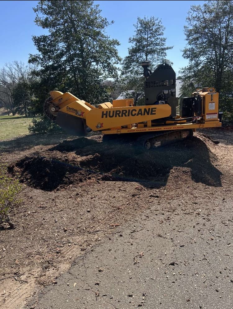 Tree Service Greenville SC | Carson Tree Company