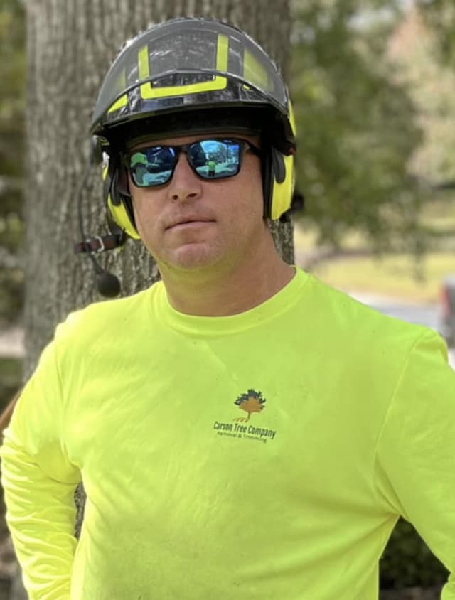 Tree Service Greenville SC | Carson Tree Company
