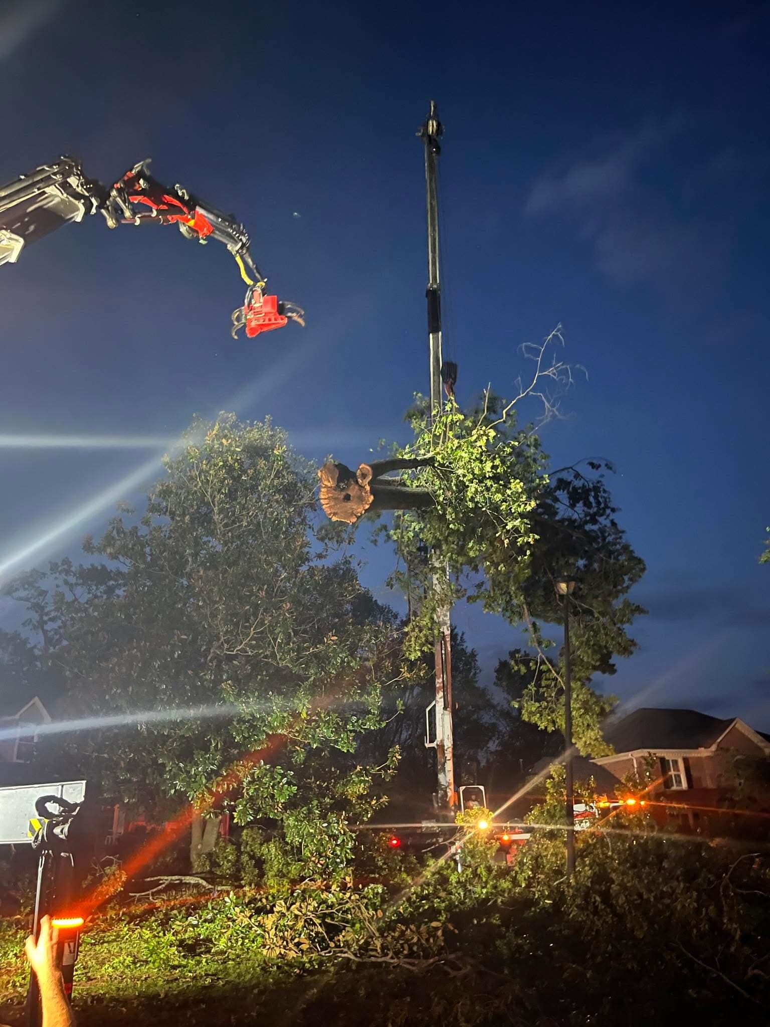 Emergency tree service Greer