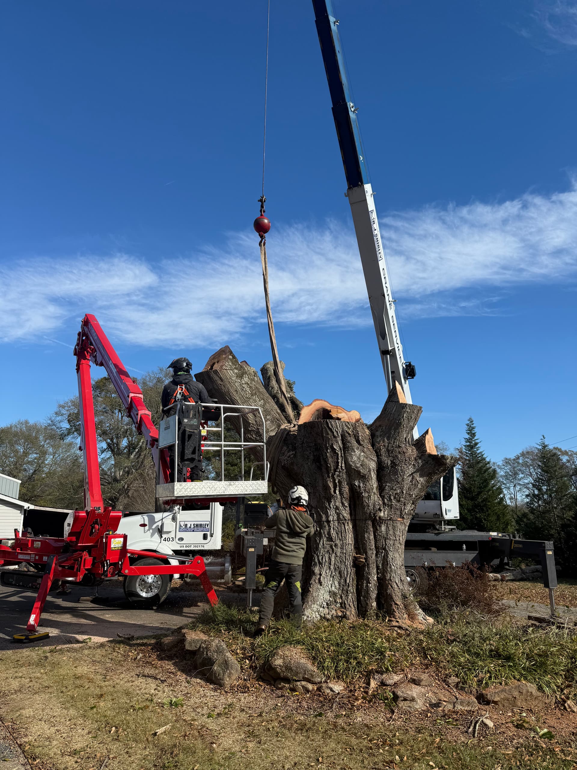 Carson Tree Company crew removing a tree in Greenville SC