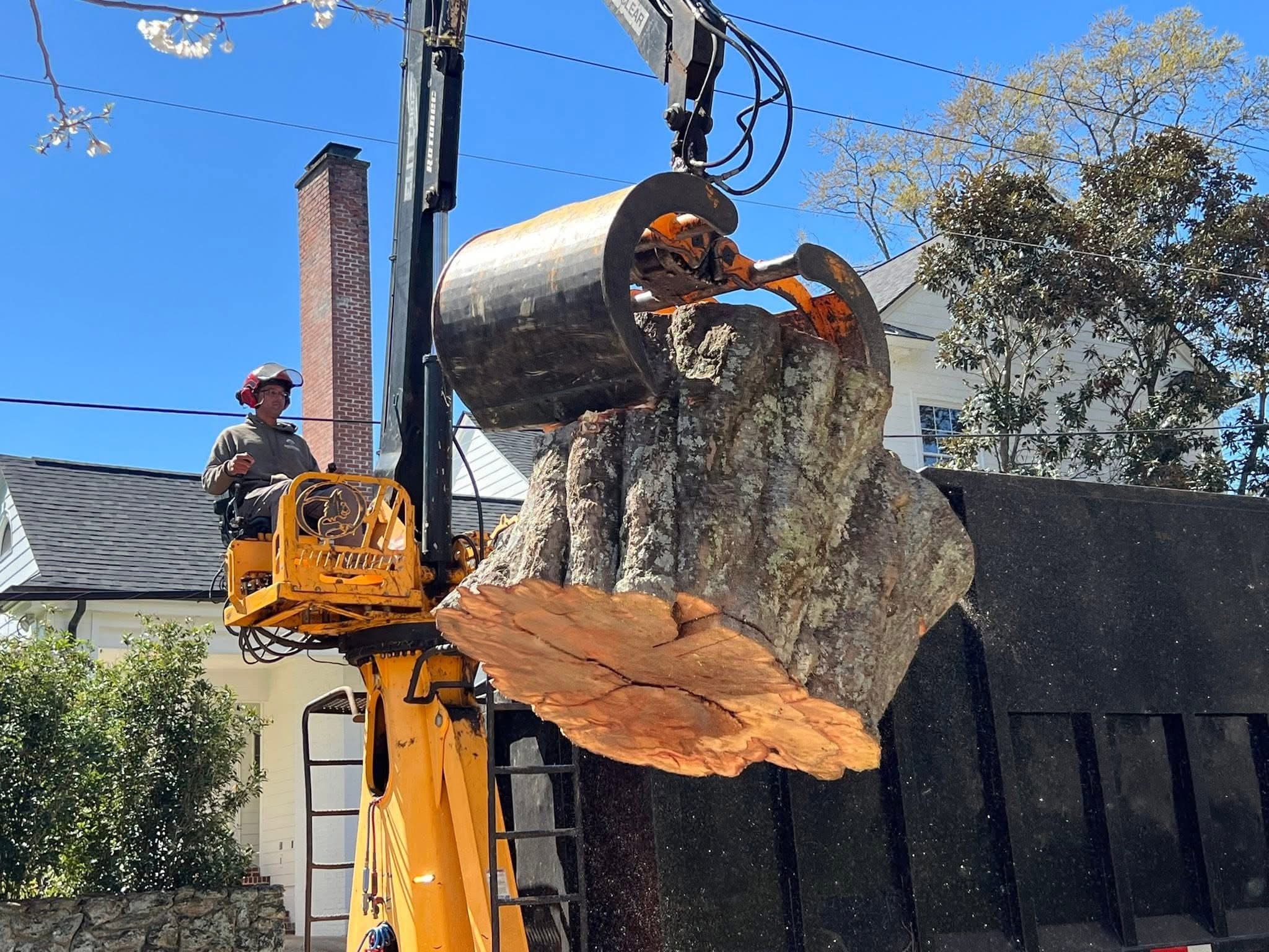 Carson Tree Company crew serving Greenville and the Upstate of South Carolina