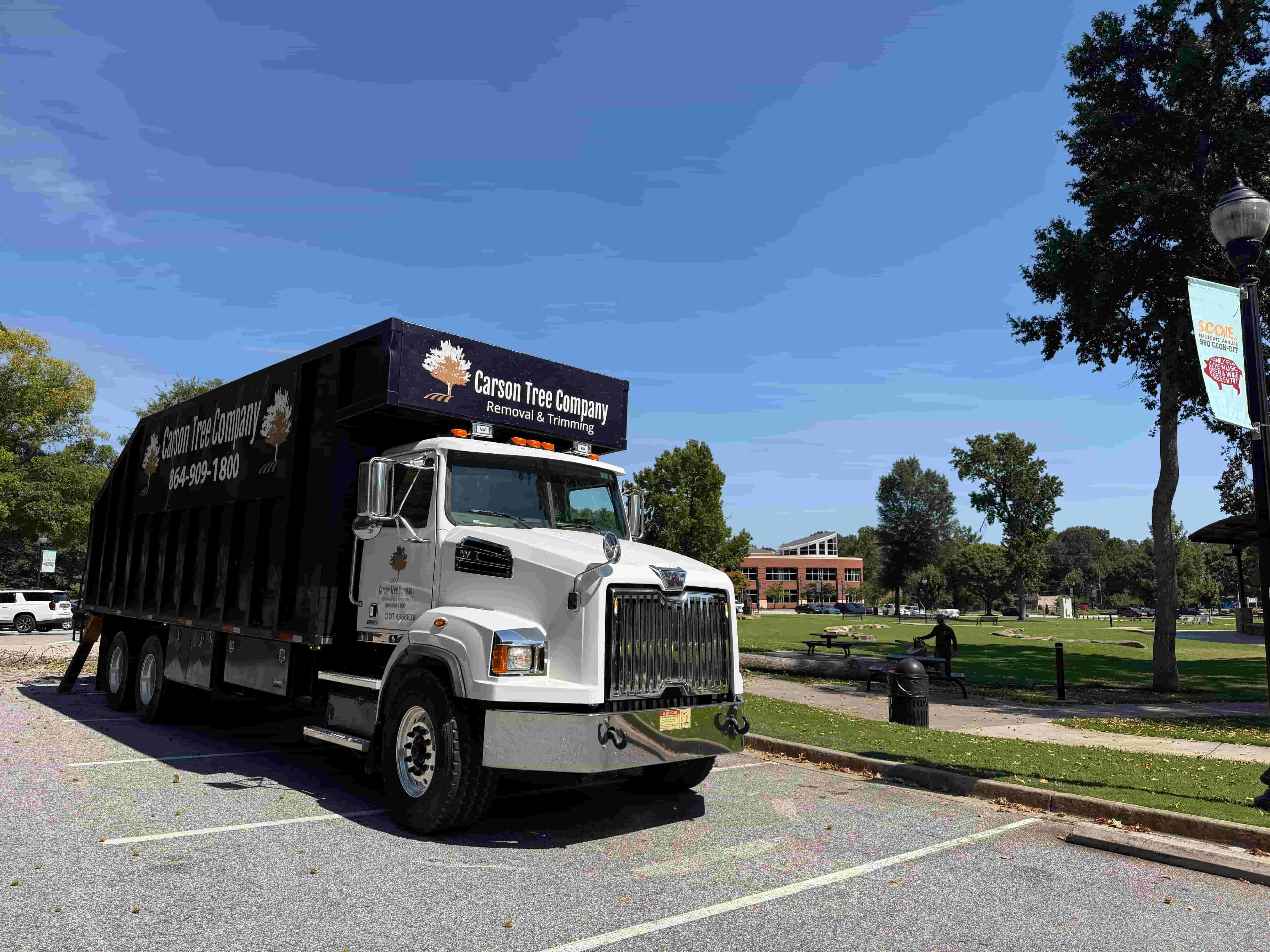 Tree Service Mauldin SC