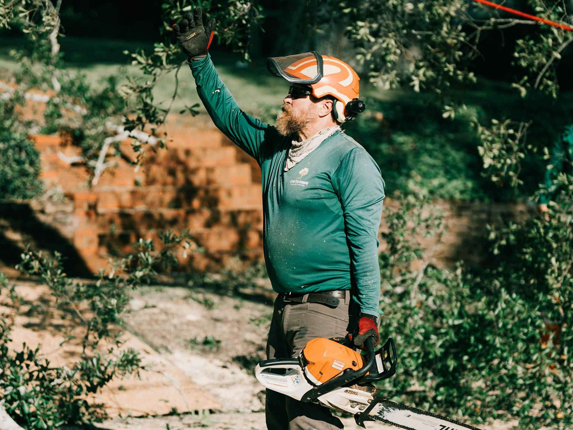 Carson Tree Company working in Mauldin SC