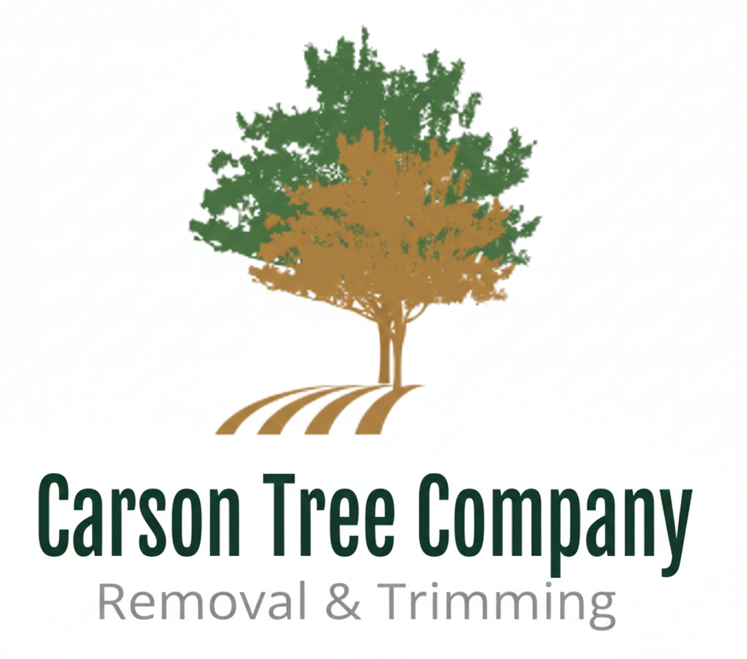 Carson Tree Company gallery 4