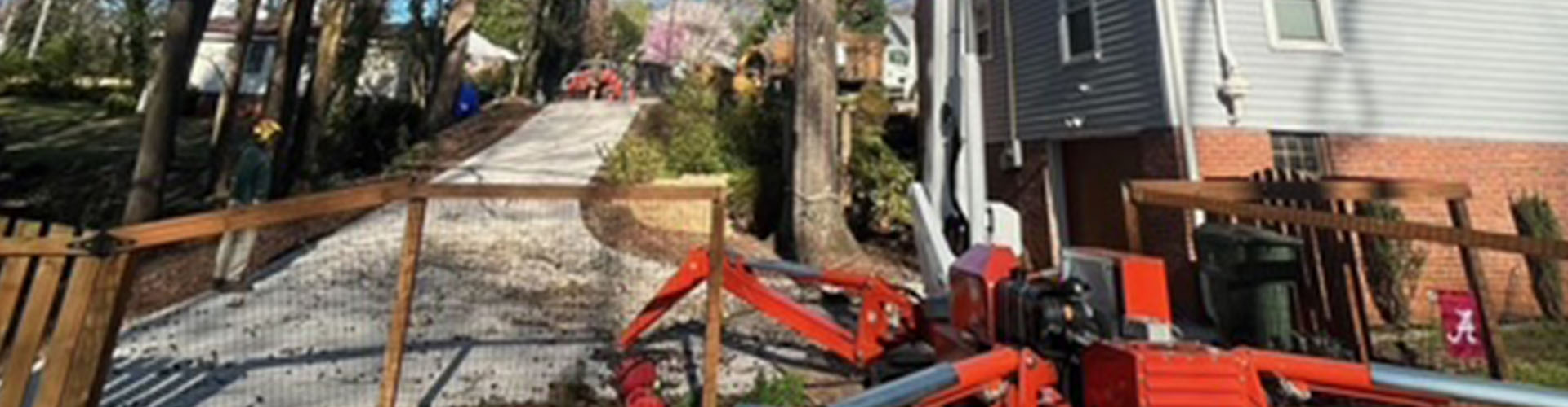 About Carson Tree Service: Trusted Tree Care Experts in Greenville, SC