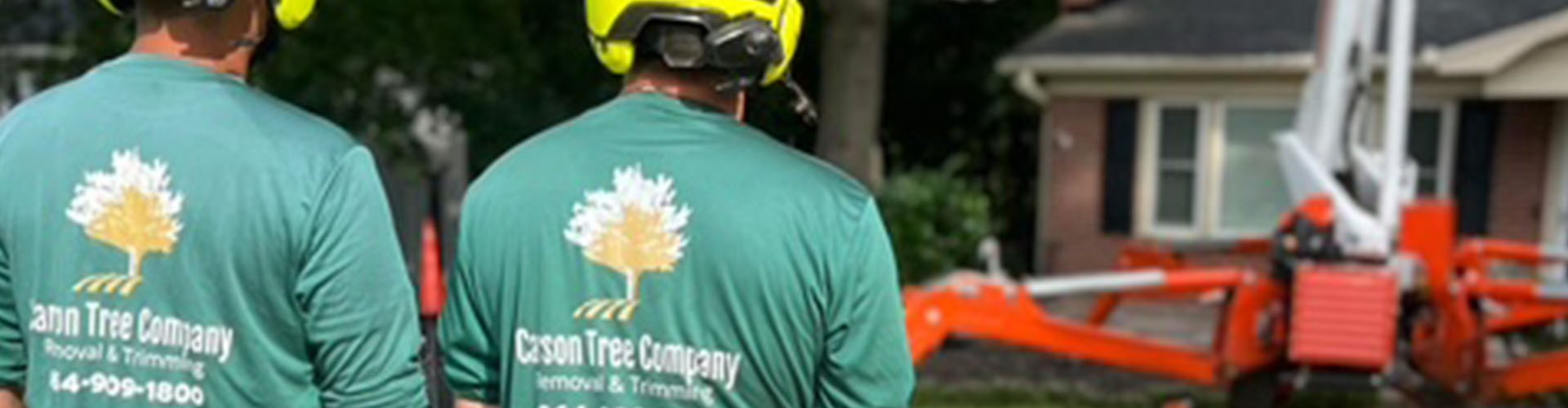 Professional Tree Removal Service Near Me